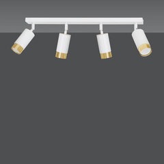 Emibig потолочный светильник Hiro 4 White-Gold цена и информация | Потолочные светильники | kaup24.ee