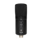 Kahe kondensaatoriga USB -mikrofon Stagg SUSM60D hind ja info | Mikrofonid | kaup24.ee