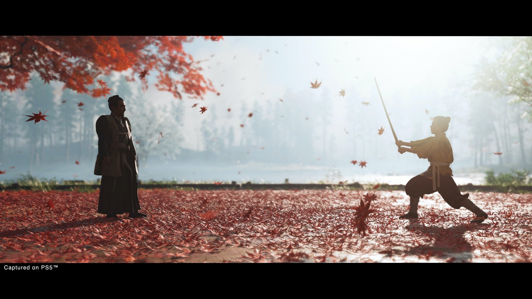 PlayStation 4 Mäng Ghost of Tsushima Director's Cut hind ja info | Arvutimängud, konsoolimängud | kaup24.ee