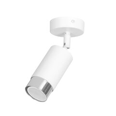Emibig laelamp Hiro 1 White-Chrome цена и информация | Потолочные светильники | kaup24.ee
