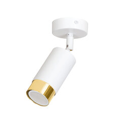 Emibig laelamp Hiro 1 White-Gold цена и информация | Потолочные светильники | kaup24.ee
