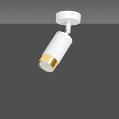 Emibig потолочный светильник Hiro 1 White-Gold цена и информация | Потолочные светильники | kaup24.ee