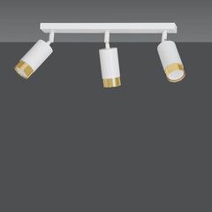 Emibig потолочный светильник Hiro 3 White-Gold цена и информация | Потолочные светильники | kaup24.ee