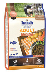 Сухой корм Bosch Petfood Adult Salmon & Potato (High Premium) 3кг цена и информация |  Сухой корм для собак | kaup24.ee