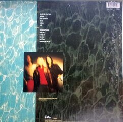 Nirvana ‎– Nevermind, LP, виниловая пластинка, 12" vinyl record цена и информация | Виниловые пластинки, CD, DVD | kaup24.ee