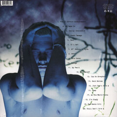 Eminem - The Slim Shady LP, 2LP, виниловая пластинка, 12" vinyl record цена и информация | Виниловые пластинки, CD, DVD | kaup24.ee