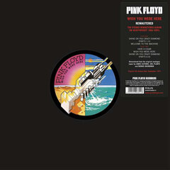 Pink Floyd - Wish You Were Here, LP, vinüülplaat, 12&quot; vinyl record цена и информация | Виниловые пластинки, CD, DVD | kaup24.ee