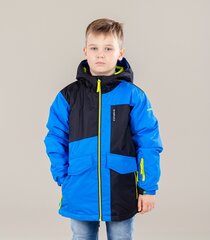 Детская куртка Icepeak Lowden 50065-6*350, синий/тёмно-синий 6438488796421, 180 г цена и информация | Зимняя одежда для детей | kaup24.ee