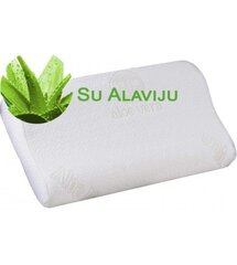 Padjapüür Riposo Aloe Vera, 30x50x10/7 cm цена и информация | Подушки | kaup24.ee