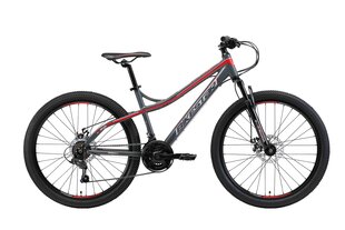 Алюминиевый горный велосипед BIKESTAR Hardtail 26 дюймов, серый цена и информация | Велосипеды | kaup24.ee
