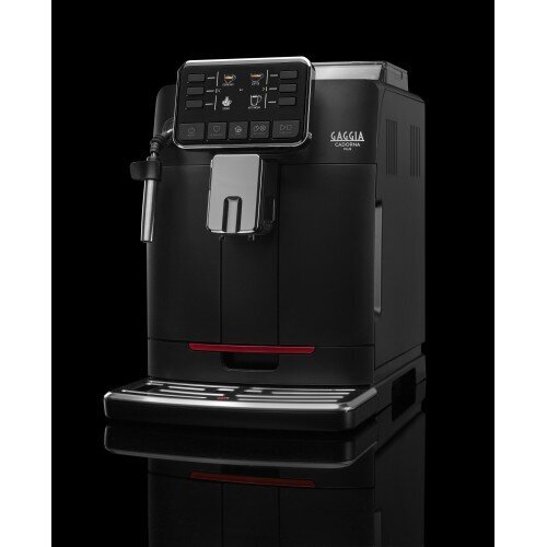 Gaggia Cadorna Plus RI9601 / 01 hind ja info | Kohvimasinad | kaup24.ee