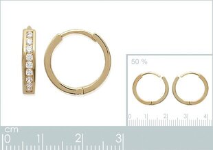 750° kullaga kaetud kõrvarõngad, toodetud Prantsusmaal hind ja info | Kõrvarõngad | kaup24.ee