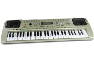 Suur klaver mikrofoniga Keyboard MQ-807 USB hind ja info | Arendavad mänguasjad | kaup24.ee