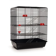Клетка для крыс Beeztees, 58 x 38 x 71 см, черная цена и информация | Клетки и аксессуары для грызунов | kaup24.ee