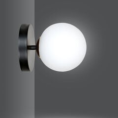 Emibig lamp Floki 1 Black Gold цена и информация | Настенные светильники | kaup24.ee