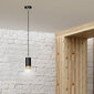 Emibig lamp Fumiko 1 Black Gold цена и информация | Rippvalgustid | kaup24.ee