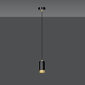 Emibig lamp Fumiko 1 Black Gold цена и информация | Rippvalgustid | kaup24.ee