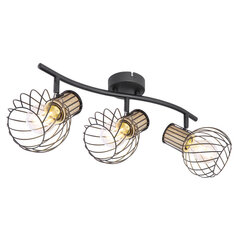 Точечный светильник Globo Lighting LUISE 54012-3DS цена и информация | Потолочные светильники | kaup24.ee