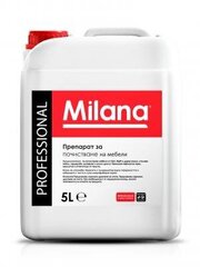 Põranda puhastusvahend Milana Professional - 5 L hind ja info | Puhastusvahendid | kaup24.ee