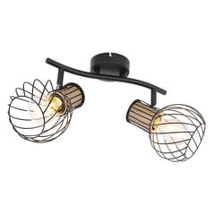 Точечный светильникы Globo Lighting LUISE 54012-2S цена и информация | Настенный светильник Конусы | kaup24.ee