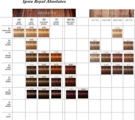 Краска для волос Schwarzkopf Igora Royal Absolutes, 60 мл цена и информация | Краска для волос | kaup24.ee