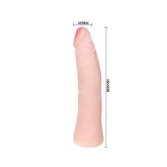 Dildo "Baile", 18 cm hind ja info | Dildod | kaup24.ee