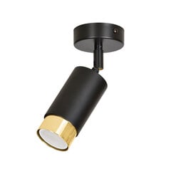 Emibig laelamp Hiro 1 Black-Gold цена и информация | Потолочные светильники | kaup24.ee