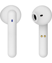 Vivanco juhtmevabad kõrvaklapid Urban Pair, valge (60603) hind ja info | Kõrvaklapid | kaup24.ee