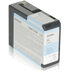 Epson ink cartridge photo cyan for Stylu цена и информация | Картридж Actis KH-653CR | kaup24.ee