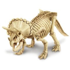 4M Komplekt kaeva välja Triceratops цена и информация | Развивающие игрушки | kaup24.ee