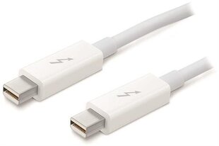 Apple, Thunderbolt/USB-A, 0.5 m hind ja info | Apple Kodumasinad, kodutehnika | kaup24.ee