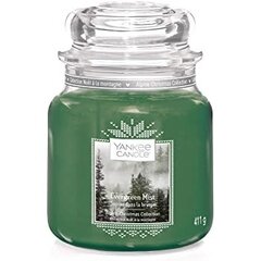 Ароматическая свеча Yankee Candle Evergreen Mist, 104 г цена и информация | Подсвечники, свечи | kaup24.ee