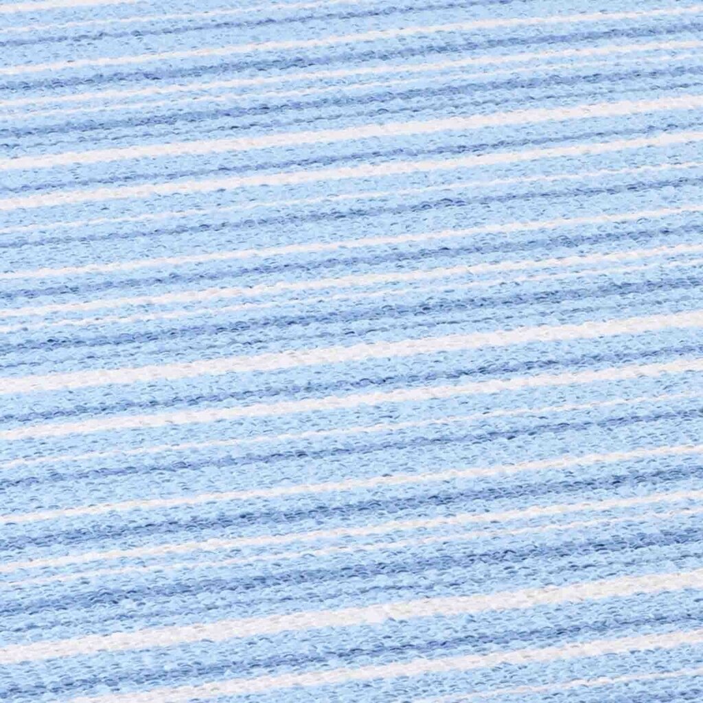 Narma kahepoolne plasticWeave™ plastikvaip Hullo, sinine, 70 x 100 cm hind ja info | Vaibad | kaup24.ee