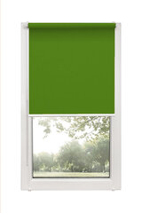 Ролет Mini Decor D 13 Зеленый, 38x150 см цена и информация | Рулонные шторы | kaup24.ee