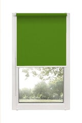 Ролет Mini Decor D 13 Зеленый, 81x150 см цена и информация | Рулонные шторы | kaup24.ee