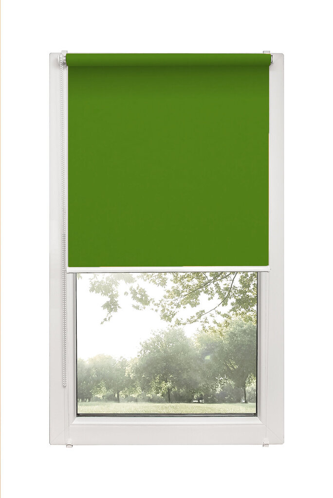 Ruloo Mini Decor D 13 Roheline, 125x150 cm hind ja info | Rulood | kaup24.ee