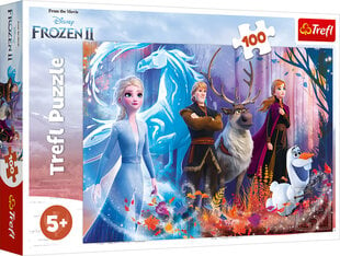 TREFL Pusle 100 Frozen 2 цена и информация | Пазлы | kaup24.ee