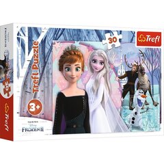 TREFL Pusle 30 Frozen hind ja info | Pusled | kaup24.ee