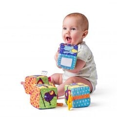 Niny 700020 Soft Educational & Activity cubes with rattles (4 pcs) for kids 0+ years (1pcs. 9x9cm) hind ja info | Tüdrukute mänguasjad | kaup24.ee