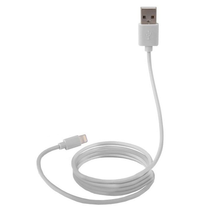 Canyon CNS-MFICAB01W, Lightning/USB-A, 1 m цена и информация | Kaablid ja juhtmed | kaup24.ee