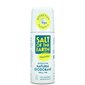 Salt of the Earth lõhnatu roll-on deodorant, 75ml цена и информация | Deodorandid | kaup24.ee