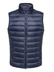 Meeste vest Geox 8054730702873, sinine цена и информация | Мужские жилетки | kaup24.ee