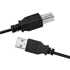 Logilink USB cable USB 2.0 A to B 2x mal цена и информация | Кабели и провода | kaup24.ee