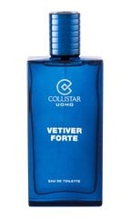 Collistar Vetiver Forte EDT для мужчин 100 мл цена и информация | Мужские духи | kaup24.ee