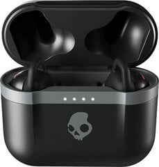 Täielikult juhtmevabad kõrvasisesed kõrvaklapid Skullcandy Indy Evo S2IVW-N740 цена и информация | Наушники | kaup24.ee