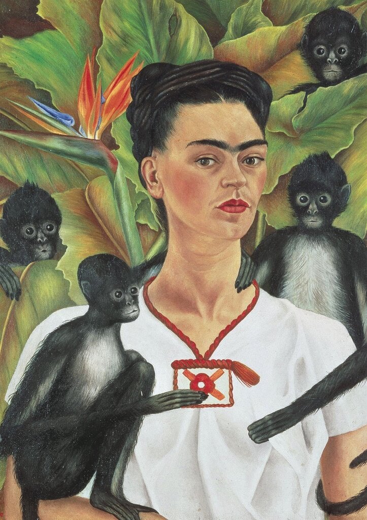 Pusle 1000 Frida Kahlo, Piatnik цена и информация | Pusled | kaup24.ee