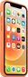 Apple iPhone 12 Pro Max silikoonümbris MagSafe, MHL83ZM/A hind
