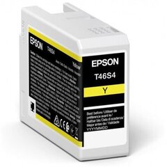 Epson UltraChrome Pro 10 ink T46S4 Ink c цена и информация | Картриджи для струйных принтеров | kaup24.ee
