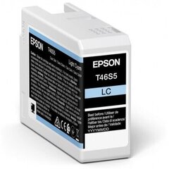 Epson UltraChrome Pro 10 ink T46S5 Ink c цена и информация | Картриджи для струйных принтеров | kaup24.ee