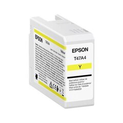 Epson UltraChrome Pro 10 ink T47A4 Ink c цена и информация | Картриджи для струйных принтеров | kaup24.ee